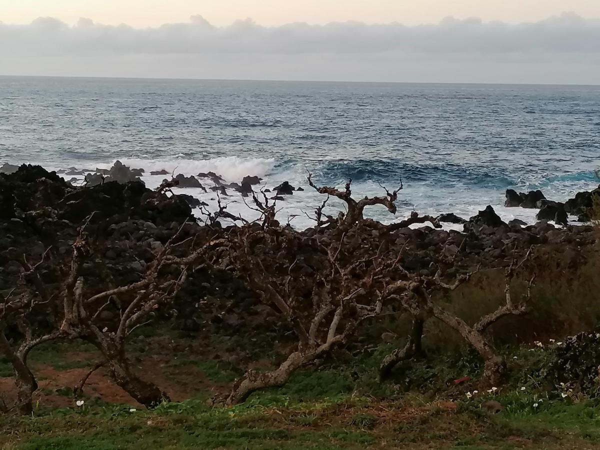فيلا A Casa Da Formosinha مادالينا المظهر الخارجي الصورة