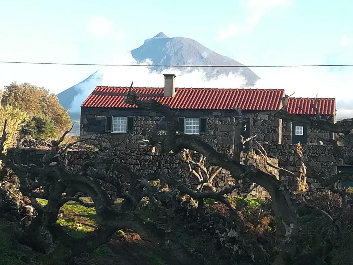فيلا A Casa Da Formosinha مادالينا المظهر الخارجي الصورة