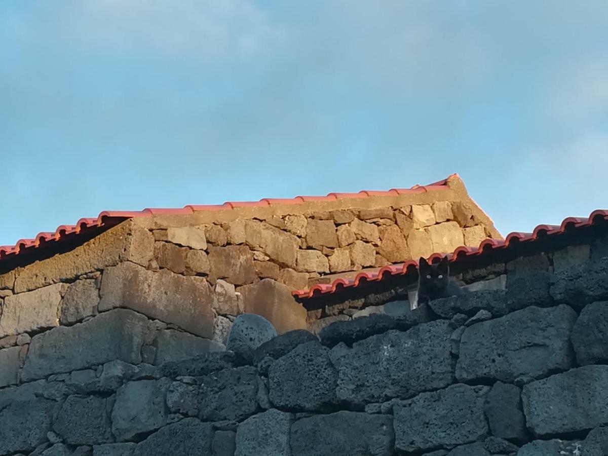 فيلا A Casa Da Formosinha مادالينا المظهر الخارجي الصورة